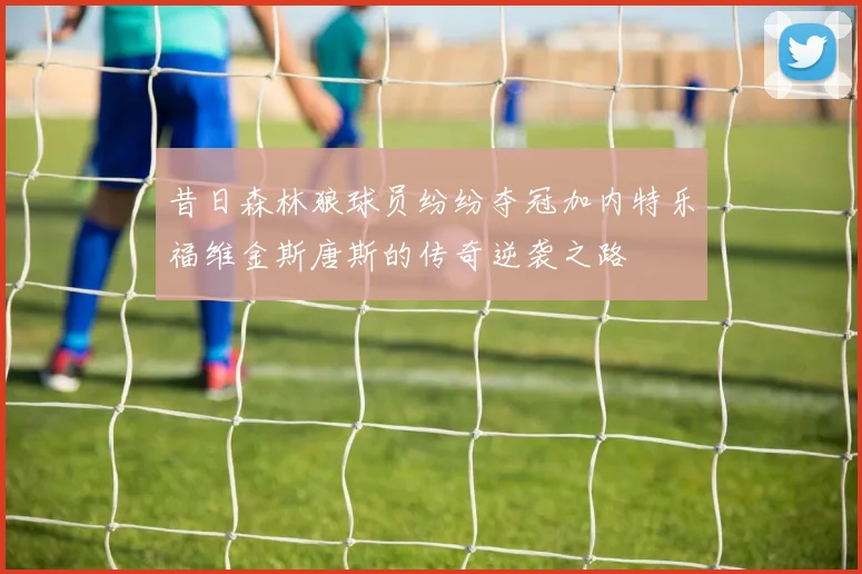 昔日森林狼球员纷纷夺冠加内特乐福维金斯唐斯的传奇逆袭之路