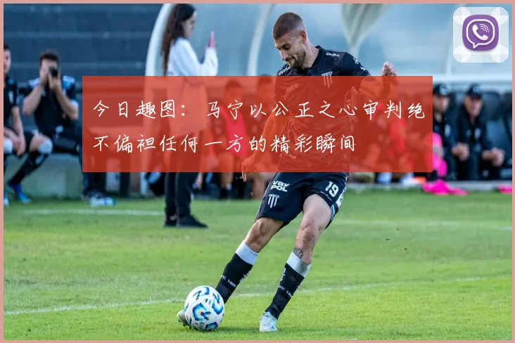 今日趣图：马宁以公正之心审判绝不偏袒任何一方的精彩瞬间